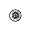 Thermostat, liquide de refroidissement NRF 725097 - Visuel 1