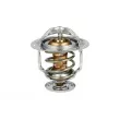 Thermostat, liquide de refroidissement NRF 725119 - Visuel 1