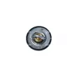 Thermostat, liquide de refroidissement NRF 725129 - Visuel 1