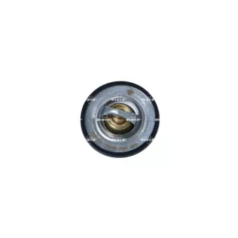 Thermostat, liquide de refroidissement NRF