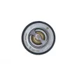 Thermostat, liquide de refroidissement NRF 725131 - Visuel 1
