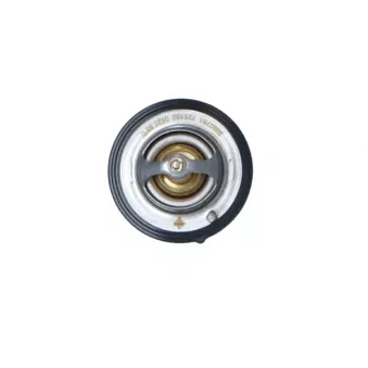 Thermostat, liquide de refroidissement NRF 725132