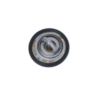 Thermostat, liquide de refroidissement NRF 725146