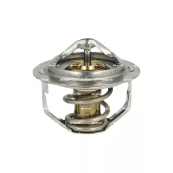 Thermostat, liquide de refroidissement NRF