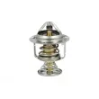 Thermostat, liquide de refroidissement NRF 725199 - Visuel 1