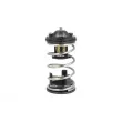 Thermostat, liquide de refroidissement NRF 725219 - Visuel 1