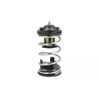 Thermostat, liquide de refroidissement NRF 725219