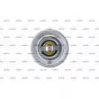 Thermostat, liquide de refroidissement NRF 725228 - Visuel 1