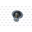 Thermostat, liquide de refroidissement NRF 725246 - Visuel 3