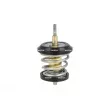 Thermostat, liquide de refroidissement NRF 725250 - Visuel 1