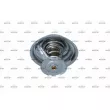 Thermostat, liquide de refroidissement NRF 725255 - Visuel 1