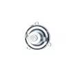 Thermostat, liquide de refroidissement NRF 725297 - Visuel 2