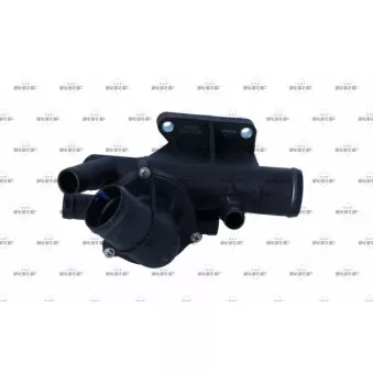 Thermostat d'eau NRF 725314
