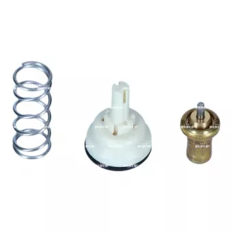 Thermostat d'eau NRF