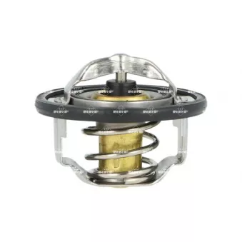 Thermostat, liquide de refroidissement NRF 725411