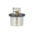 Thermostat, liquide de refroidissement NRF 725431 - Visuel 1
