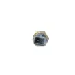 Sonde de température, liquide de refroidissement NRF 727054 - Visuel 2