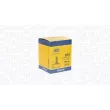 Ampoule, projecteur principal MAGNETI MARELLI 002581100000 - Visuel 1