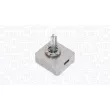 Ampoule, projecteur principal MAGNETI MARELLI 002581100000 - Visuel 2