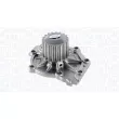 Pompe à eau, refroidissement du moteur MAGNETI MARELLI 350984157000 - Visuel 1