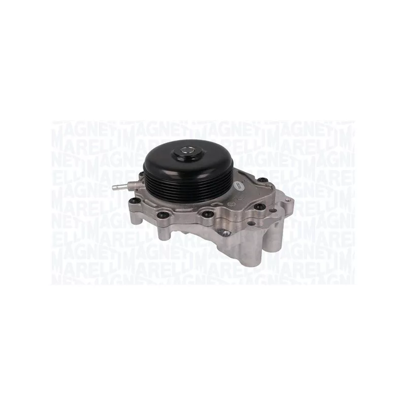 Pompe à eau, refroidissement du moteur MAGNETI MARELLI 350984161000