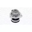 Pompe à eau, refroidissement du moteur MAGNETI MARELLI 350984170000 - Visuel 1