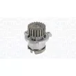 Pompe à eau, refroidissement du moteur MAGNETI MARELLI 350984183000 - Visuel 1