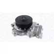 Pompe à eau, refroidissement du moteur MAGNETI MARELLI 350984190000 - Visuel 1