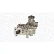 Pompe à eau, refroidissement du moteur MAGNETI MARELLI 350984191000 - Visuel 1