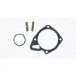 Pompe à eau, refroidissement du moteur MAGNETI MARELLI 350984200000 - Visuel 1
