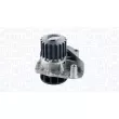 Pompe à eau, refroidissement du moteur MAGNETI MARELLI 350984205000 - Visuel 1