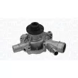 Pompe à eau, refroidissement du moteur MAGNETI MARELLI 350984207000 - Visuel 1