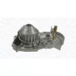 Pompe à eau, refroidissement du moteur MAGNETI MARELLI 350984211000 - Visuel 2