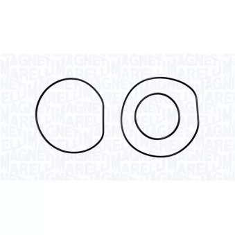 Pompe à eau, refroidissement du moteur MAGNETI MARELLI 350984213000