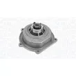 Pompe à eau, refroidissement du moteur MAGNETI MARELLI 350984213000 - Visuel 2