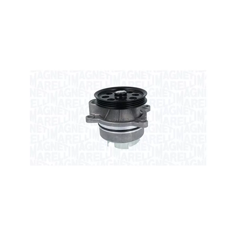 Pompe à eau, refroidissement du moteur MAGNETI MARELLI 350984218000