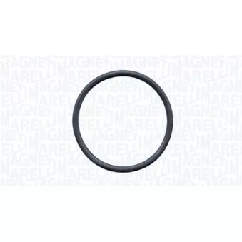 Pompe à eau, refroidissement du moteur MAGNETI MARELLI 350984222000