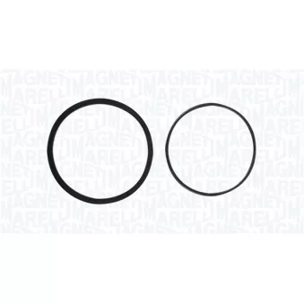 Pompe à eau, refroidissement du moteur MAGNETI MARELLI 350984225000