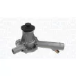Pompe à eau, refroidissement du moteur MAGNETI MARELLI 350984226000 - Visuel 1