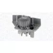 Pompe à eau, refroidissement du moteur MAGNETI MARELLI 350984229000 - Visuel 1