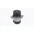 Pompe à eau, refroidissement du moteur MAGNETI MARELLI 350984234000 - Visuel 2
