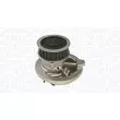 Pompe à eau, refroidissement du moteur MAGNETI MARELLI 350984242000 - Visuel 2