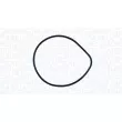Pompe à eau, refroidissement du moteur MAGNETI MARELLI 350984246000 - Visuel 1