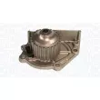 Pompe à eau, refroidissement du moteur MAGNETI MARELLI 350984246000 - Visuel 2
