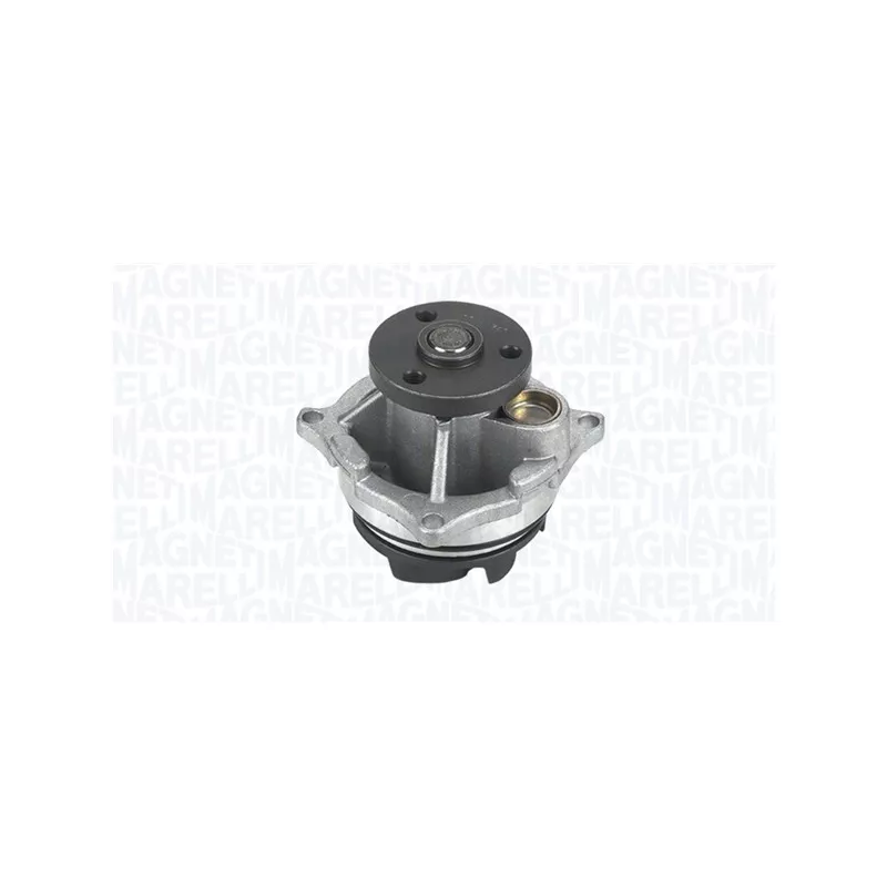 Pompe à eau, refroidissement du moteur MAGNETI MARELLI 350984248000