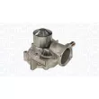 Pompe à eau, refroidissement du moteur MAGNETI MARELLI 350984257000 - Visuel 1