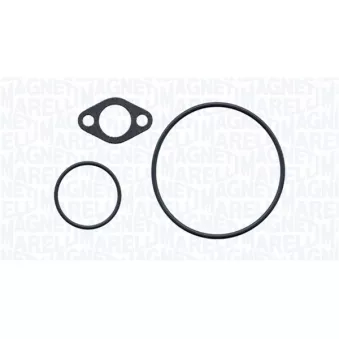 Pompe à eau, refroidissement du moteur MAGNETI MARELLI 350984277000
