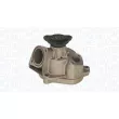 Pompe à eau, refroidissement du moteur MAGNETI MARELLI 350984277000 - Visuel 2