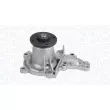Pompe à eau, refroidissement du moteur MAGNETI MARELLI 350984281000 - Visuel 2
