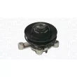 Pompe à eau, refroidissement du moteur MAGNETI MARELLI 350984308000 - Visuel 2